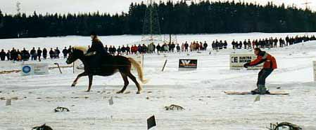 skikjoering
